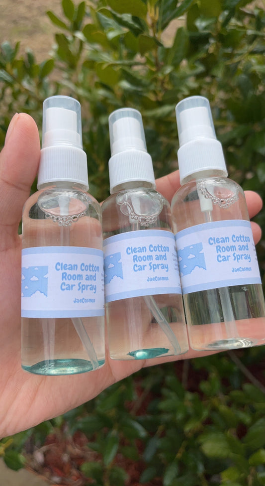 Room/Car Spray ✨